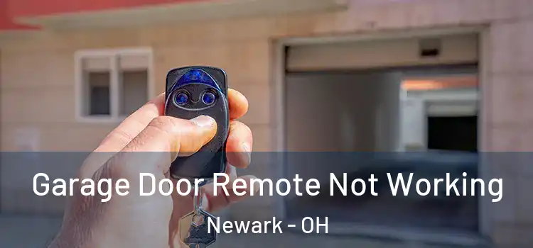  Garage Door Remote Not Working Newark - OH