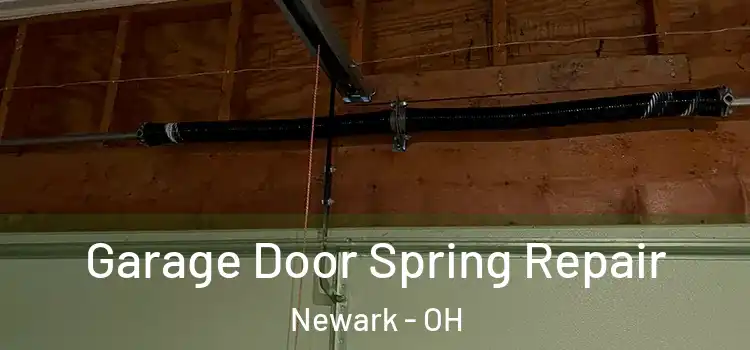  Garage Door Spring Repair Newark - OH